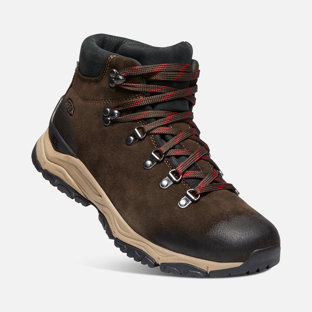 Botas de Seguridad Keen Mexico Marrom - Hombre Feldberg Apx Waterproof - TR1360429